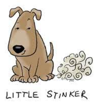 little stinker dog farts